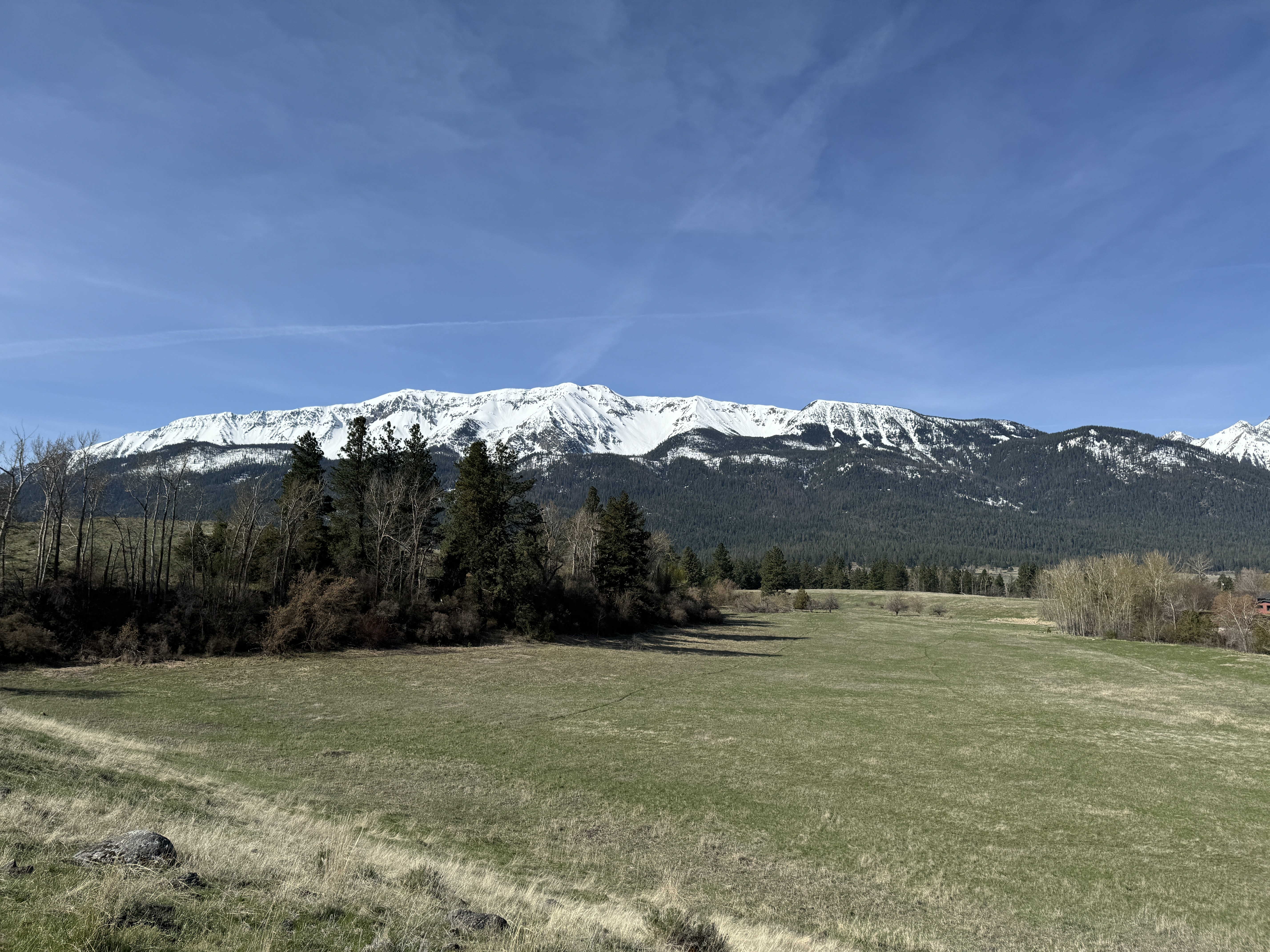 A view of the full "width" of a snow-capped mountain from atop a hill, with a long field stretching out in the foreground