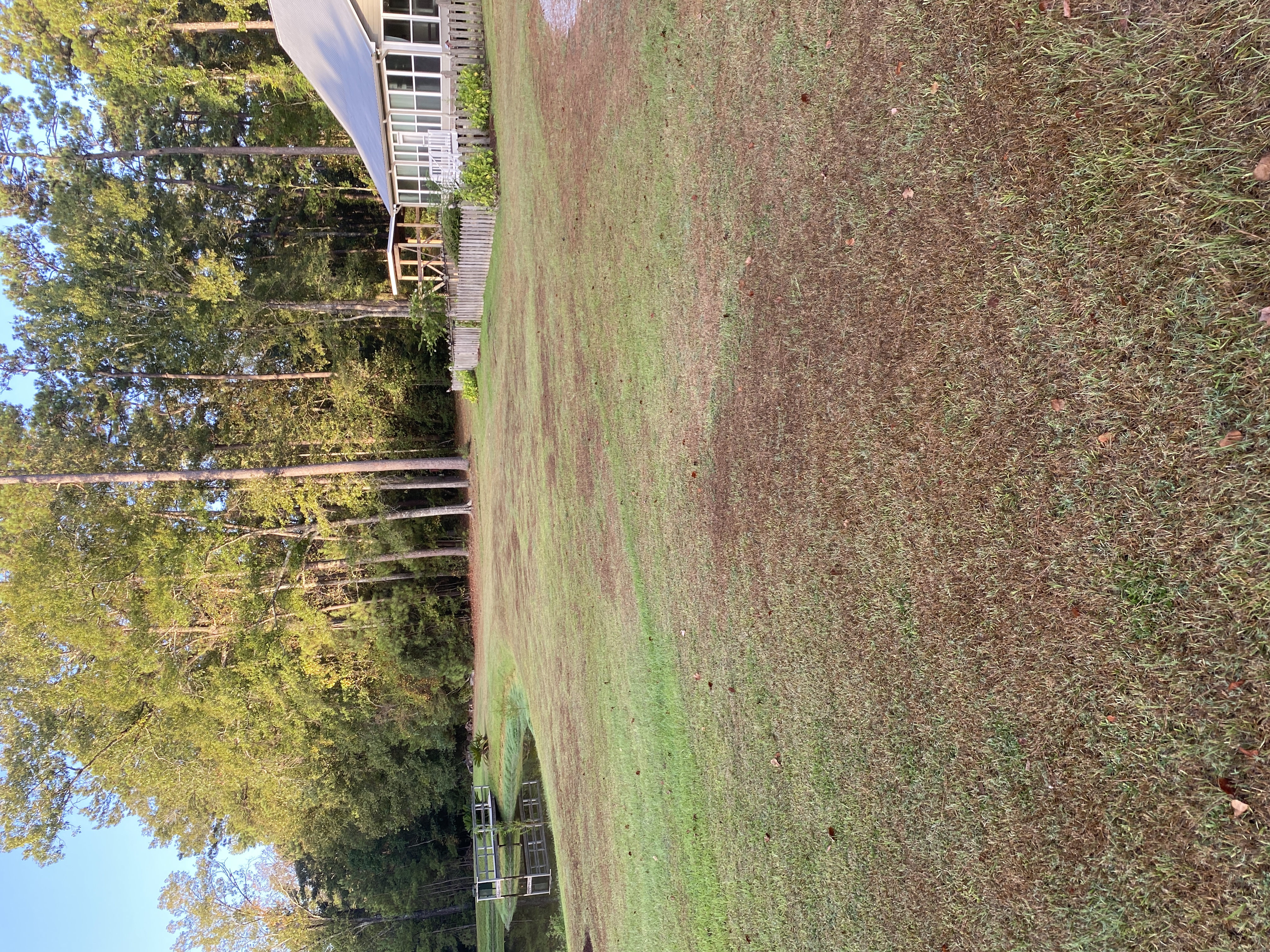 Huge patches of brown, dead grass cover a yard in between a pond and house