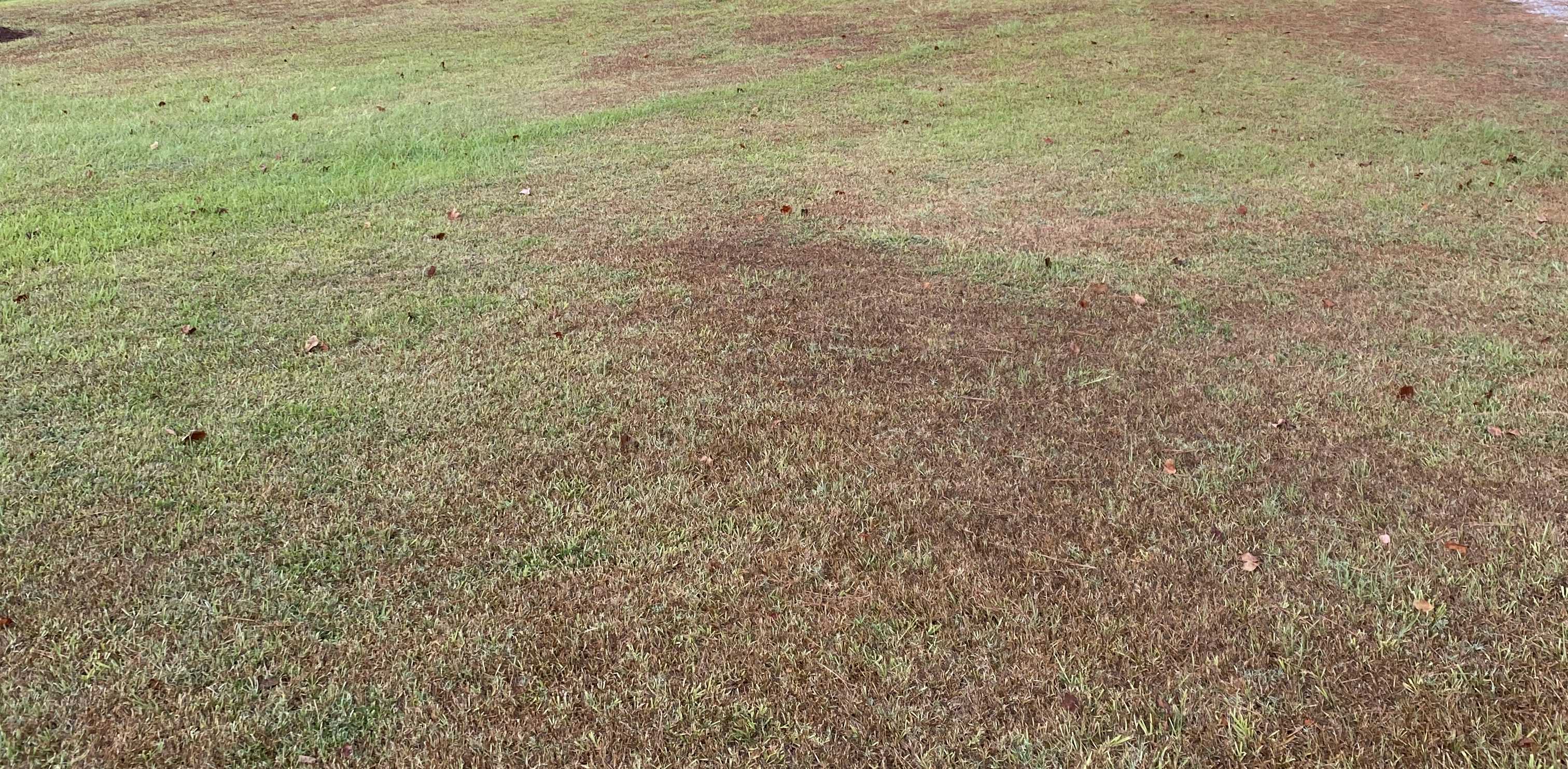 Huge patches of brown, dead grass cover a yard in between a pond and house
